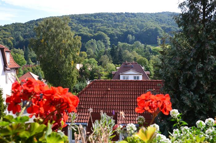 Villa Sonnenseite Jonsdorf Экстерьер фото